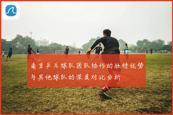 南京乒乓球队团队协作的独特优势与其他球队的深度对比分析