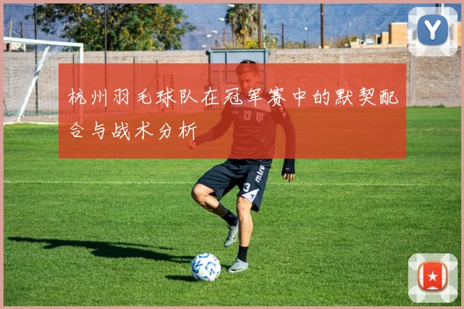 杭州羽毛球队在冠军赛中的默契配合与战术分析