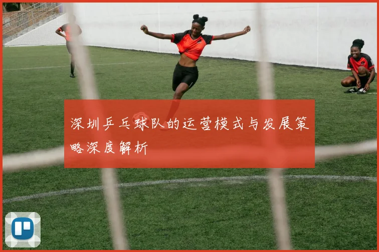 深圳乒乓球队的运营模式与发展策略深度解析