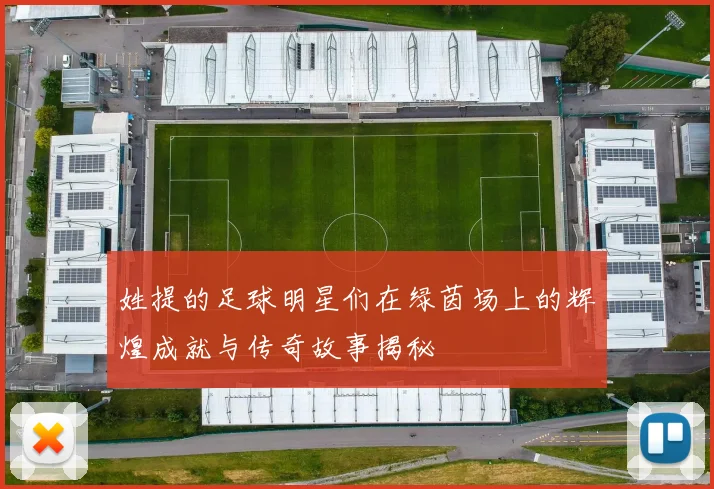 姓提的足球明星们在绿茵场上的辉煌成就与传奇故事揭秘