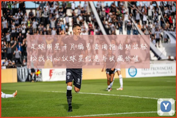 足球明星卡片编号查询指南助你轻松找到心仪球星信息与收藏价值