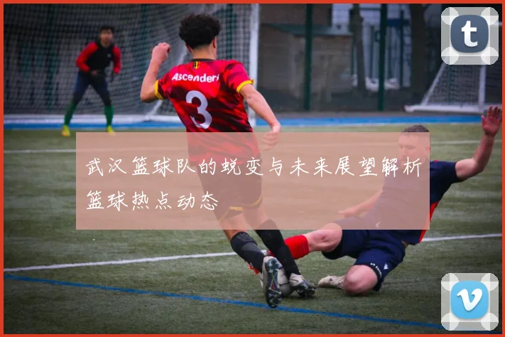 武汉篮球队的蜕变与未来展望解析篮球热点动态