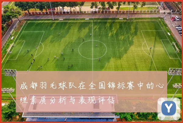 成都羽毛球队在全国锦标赛中的心理素质分析与表现评估