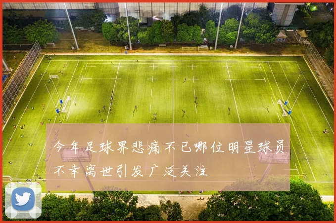 今年足球界悲痛不已哪位明星球员不幸离世引发广泛关注