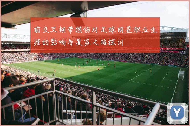 前交叉韧带损伤对足球明星职业生涯的影响与复苏之路探讨