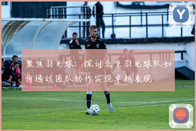 聚焦羽毛球：探讨北京羽毛球队如何通过团队协作实现卓越表现