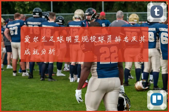 爱尔兰足球明星现役球员排名及其成就分析