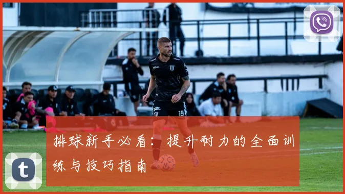 排球新手必看：提升耐力的全面训练与技巧指南