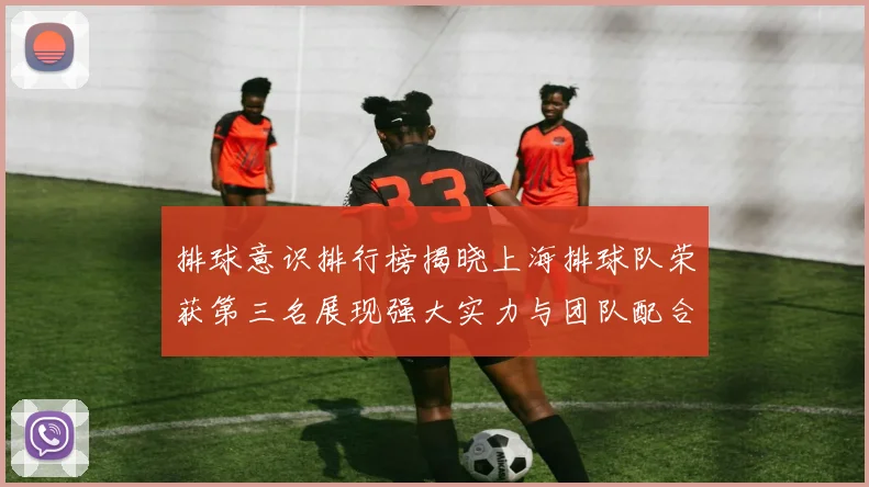 排球意识排行榜揭晓上海排球队荣获第三名展现强大实力与团队配合