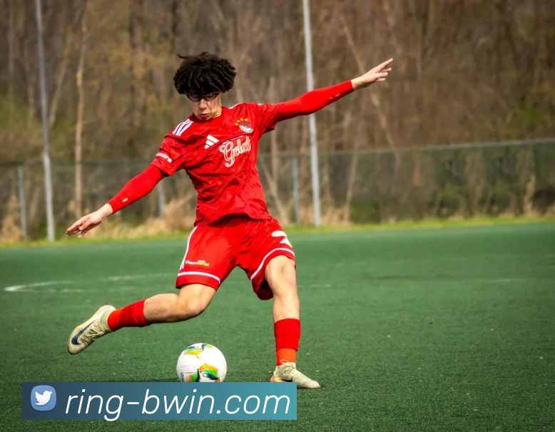 必赢平台生态图